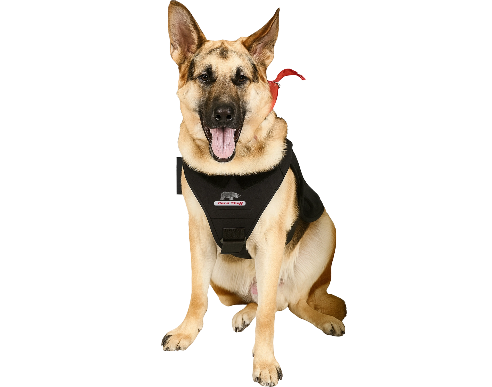 German Shepherd wearing Hard Shell K9 Ballistic Vest, offering chest and torso protection for working dogs.